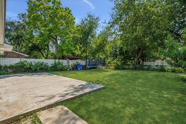 view of yard featuring a patio and a trampoline