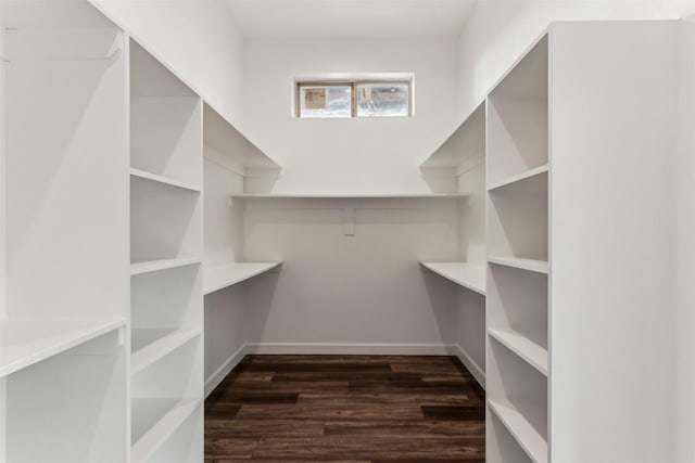 spacious closet with dark wood-type flooring