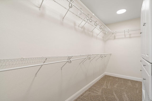 walk in closet with carpet