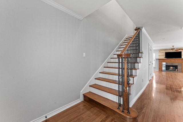 staircase featuring wood-type flooring and ornamental molding