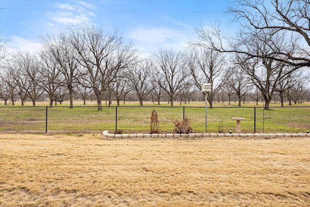 view of yard with a rural view