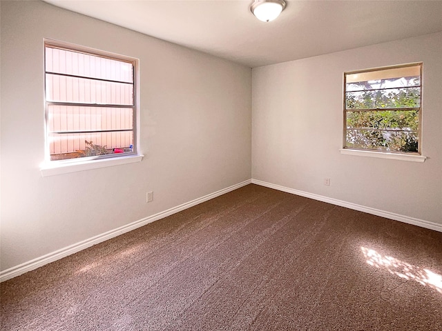 spare room featuring carpet flooring