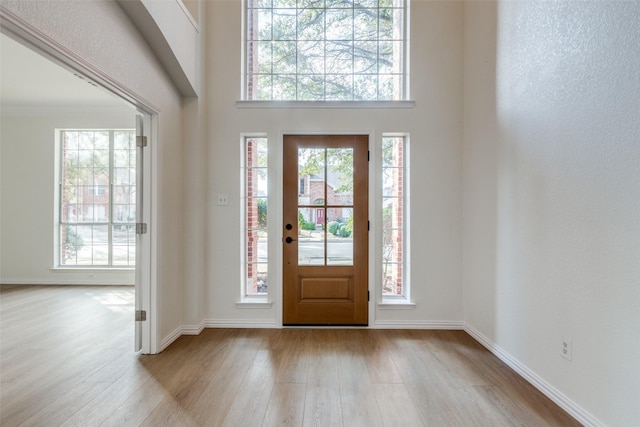 entrance foyer with crown molding, light hardwood / wood-style flooring, a high ceiling, and plenty of natural light