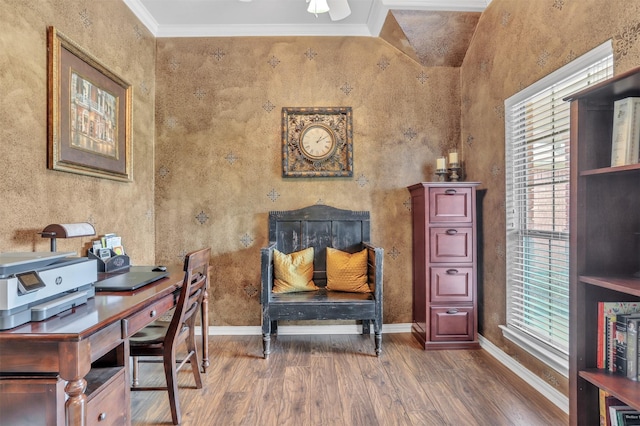 10121 Irish Ridge St, Forney, TX 75126 - office with wood finished floors, plenty of natural light, baseboards, and ornamental molding