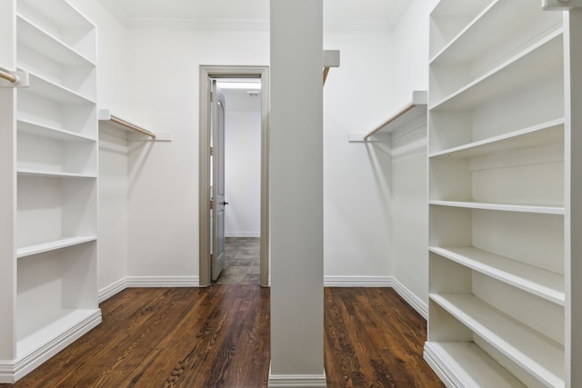 walk in closet featuring wood finished floors