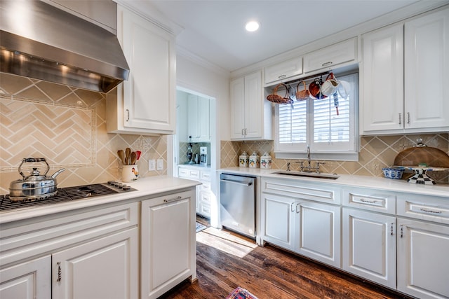 kitchen featuring sink, range hood, white cabinets, and appliances with stainless steel finishes