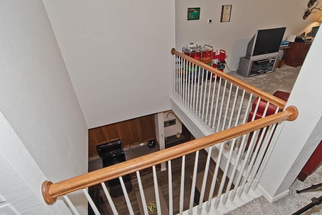 stairway featuring carpet floors