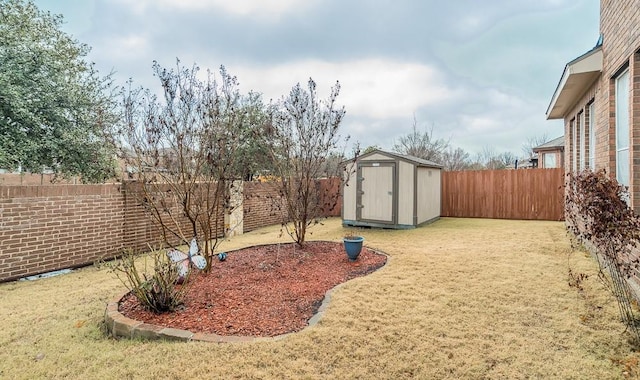 view of yard with a shed