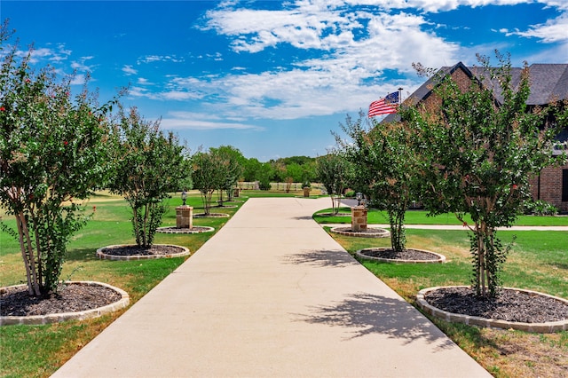 view of community with a yard