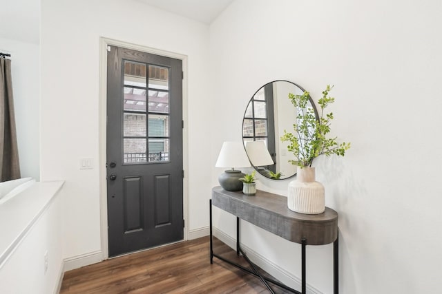 foyer entrance featuring dark hardwood / wood-style flooring