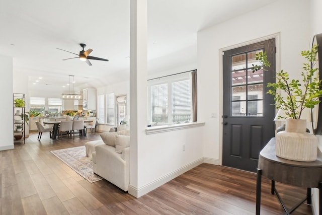 entrance foyer featuring ceiling fan, a healthy amount of sunlight, and wood-type flooring