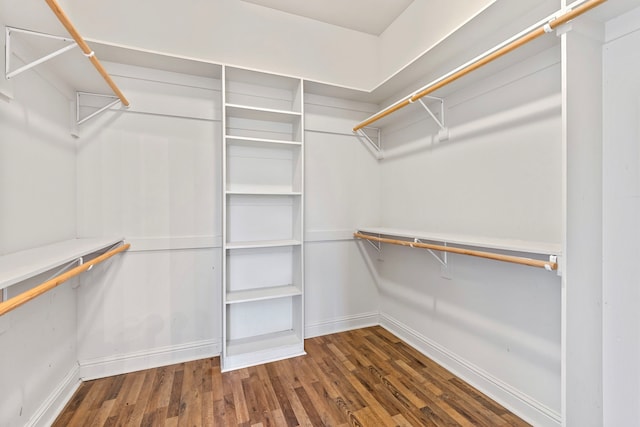 spacious closet with dark wood-type flooring