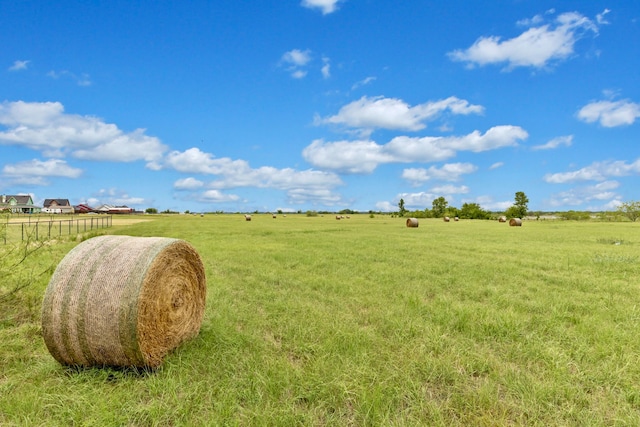 view of yard with a rural view