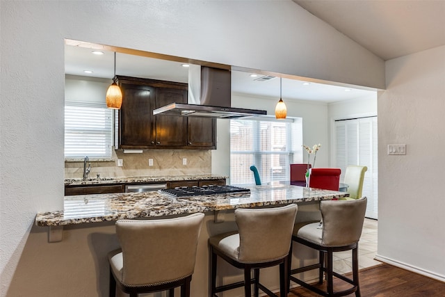 kitchen with stainless steel appliances, pendant lighting, exhaust hood, and dark brown cabinetry