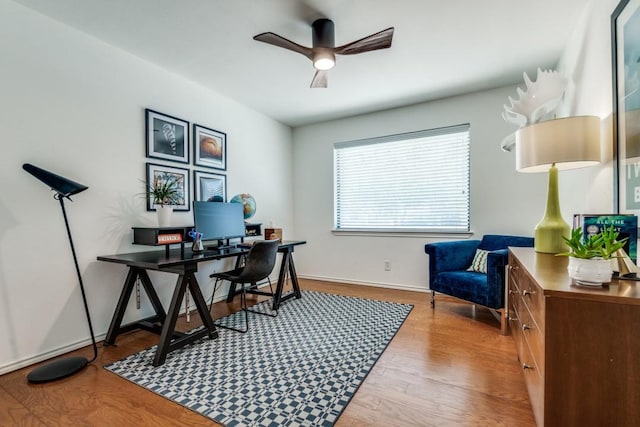 office space featuring ceiling fan and wood-type flooring