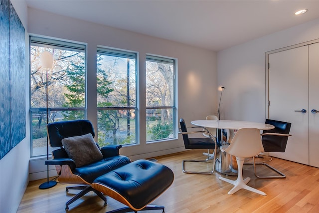 office area with light hardwood / wood-style floors and a wealth of natural light