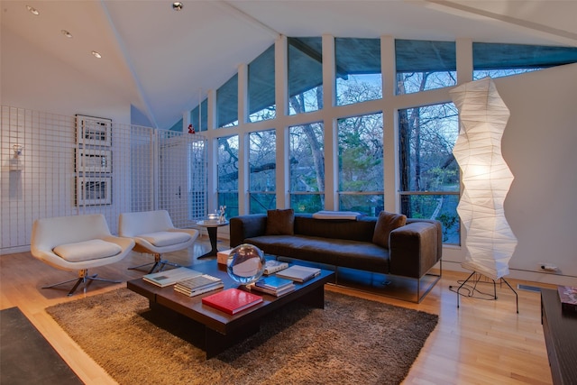 living room featuring hardwood / wood-style floors and high vaulted ceiling