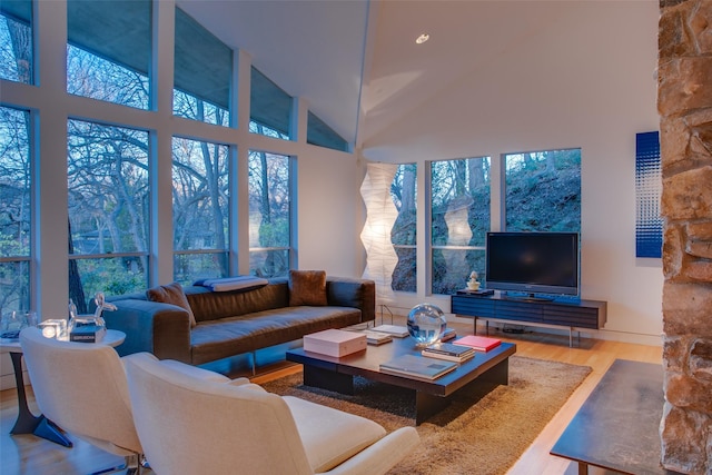 living room featuring wood-type flooring and high vaulted ceiling