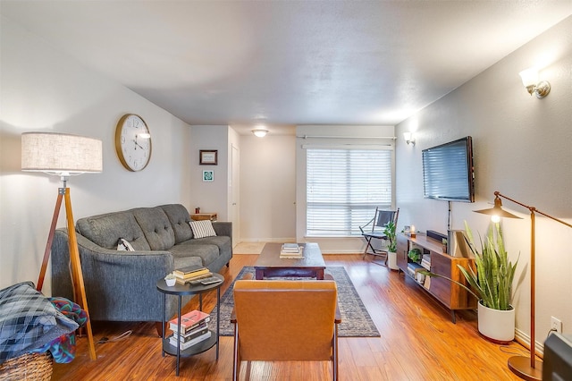 living room featuring hardwood / wood-style flooring