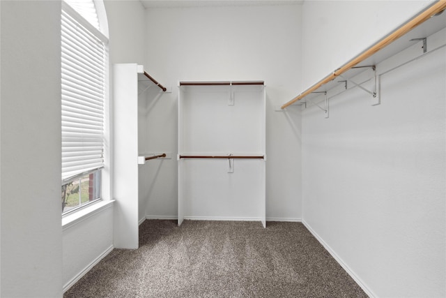 spacious closet with carpet