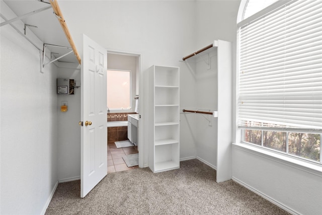 spacious closet featuring light colored carpet