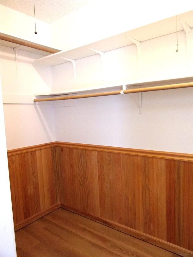 spacious closet featuring wood-type flooring