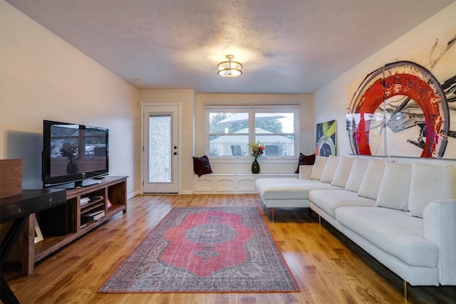 living room featuring wood-type flooring and a textured ceiling