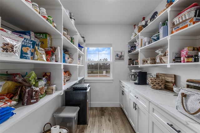 view of pantry