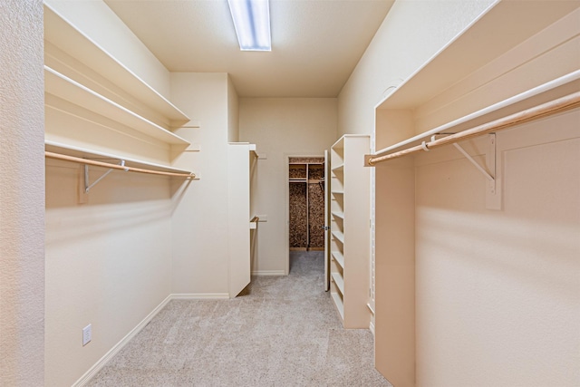 spacious closet featuring light carpet