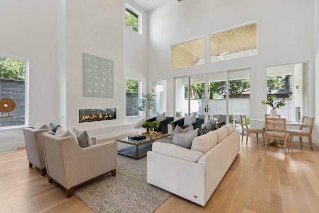 living room featuring plenty of natural light, a towering ceiling, and light wood-type flooring