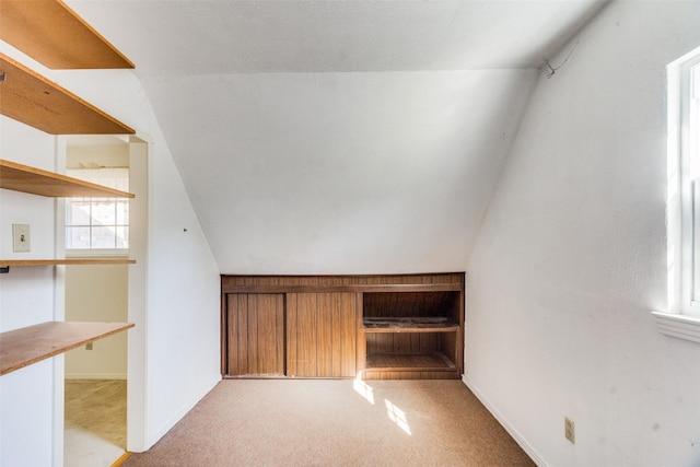 additional living space with light colored carpet and lofted ceiling