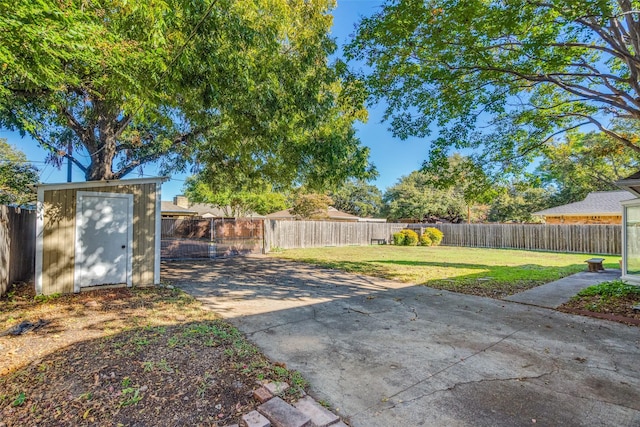 view of yard with a patio area and a storage unit