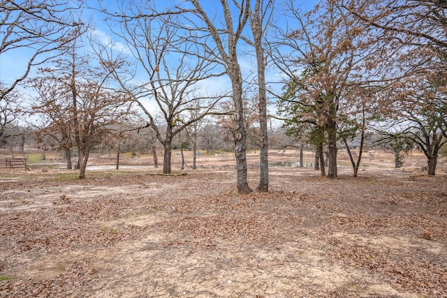 view of yard with a rural view