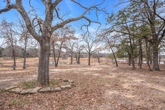 view of yard featuring a rural view