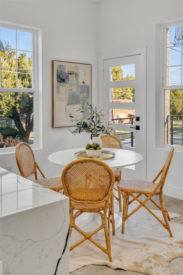 dining room featuring hardwood / wood-style floors