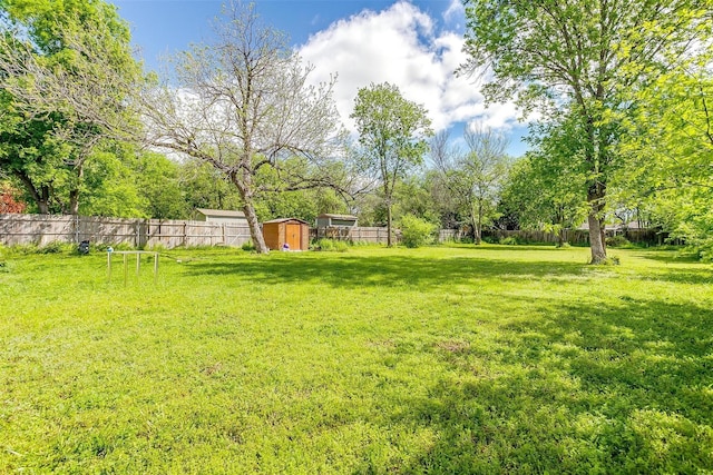 view of yard featuring a shed