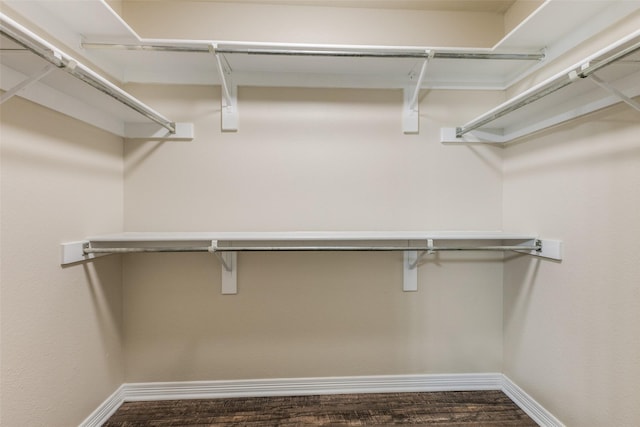 spacious closet featuring wood-type flooring