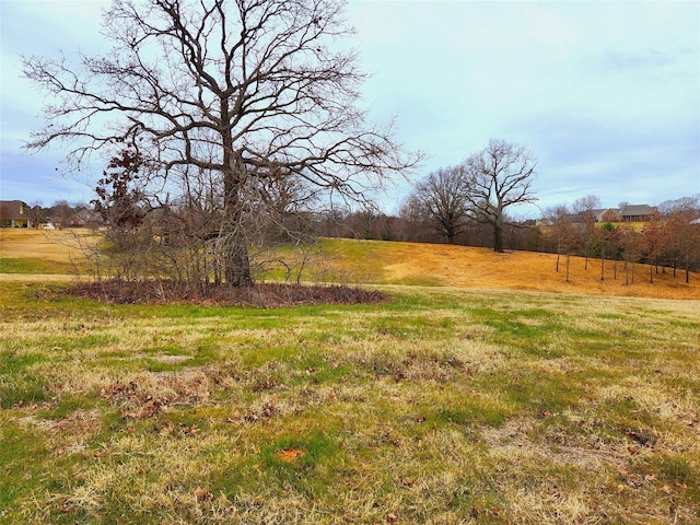 Listing photo 2 for LOT125 Clear View Ct, Athens TX 75752