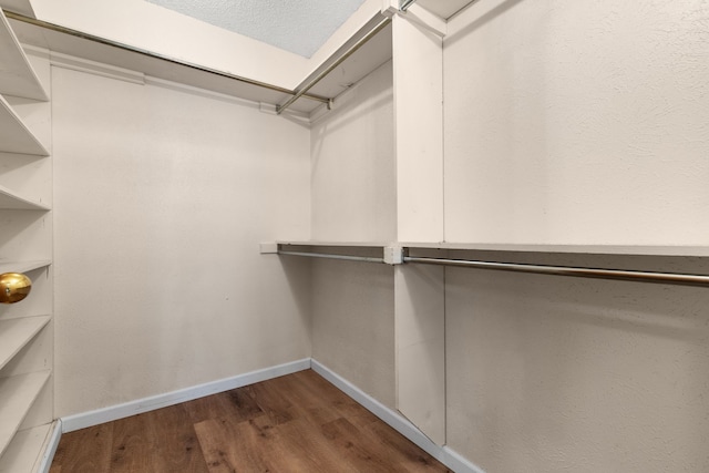 spacious closet featuring dark wood-type flooring