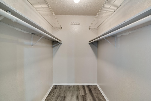 spacious closet with hardwood / wood-style floors