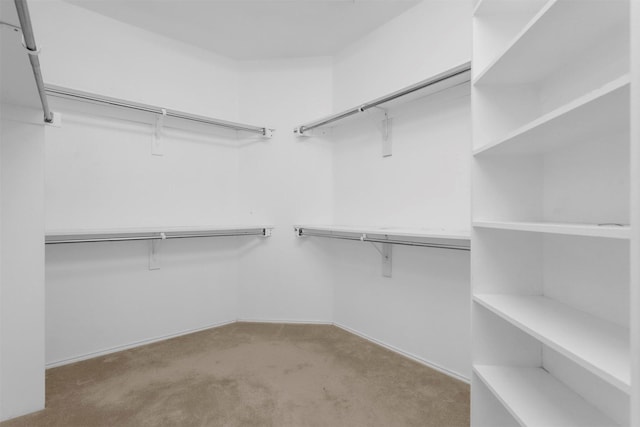 spacious closet featuring light colored carpet