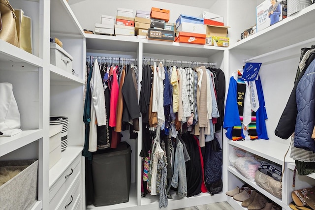 view of walk in closet