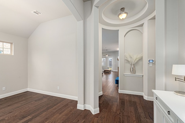 hallway featuring dark hardwood / wood-style flooring, vaulted ceiling, and a healthy amount of sunlight