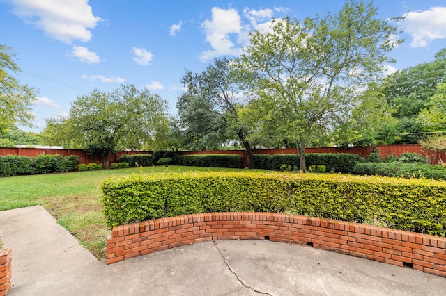 view of yard with a patio area