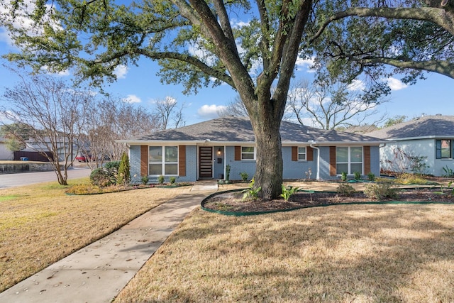 ranch-style home featuring a front lawn