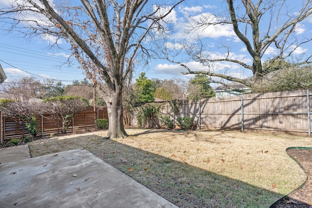 view of yard featuring a patio