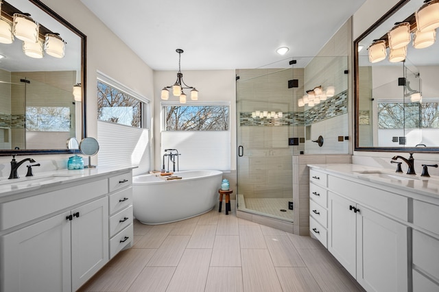 bathroom featuring vanity and independent shower and bath