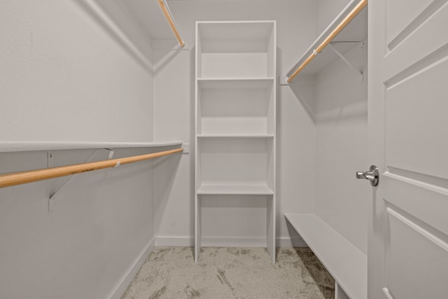 walk in closet with light carpet