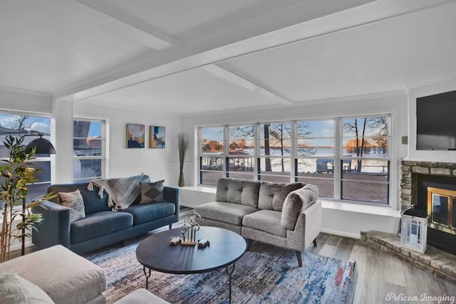 living room with beam ceiling, a fireplace, hardwood / wood-style flooring, and plenty of natural light