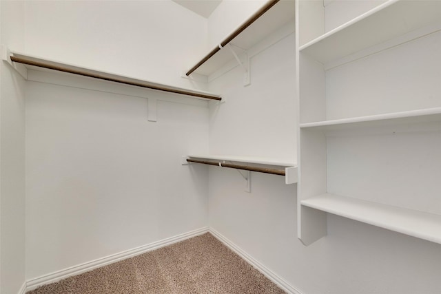 spacious closet with carpet floors